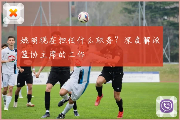 姚明现在担任什么职务?深度解读篮协主席的工作