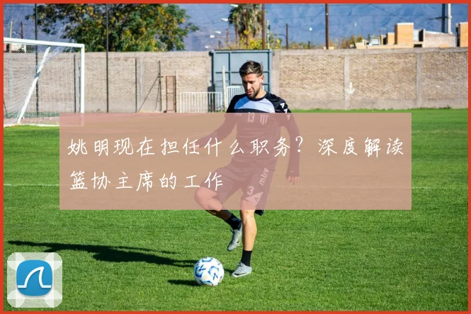 姚明现在担任什么职务？深度解读篮协主席的工作